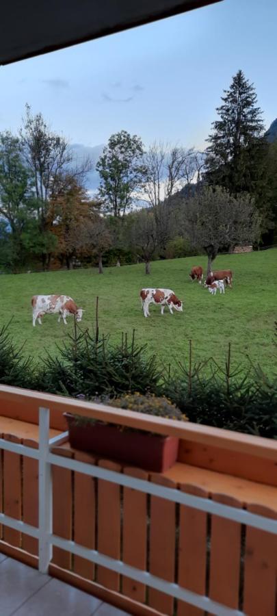 Apartma Rozle Mojstrana Buitenkant foto