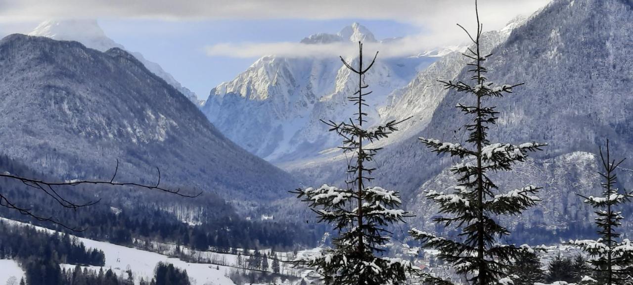 Apartma Rozle Mojstrana Buitenkant foto