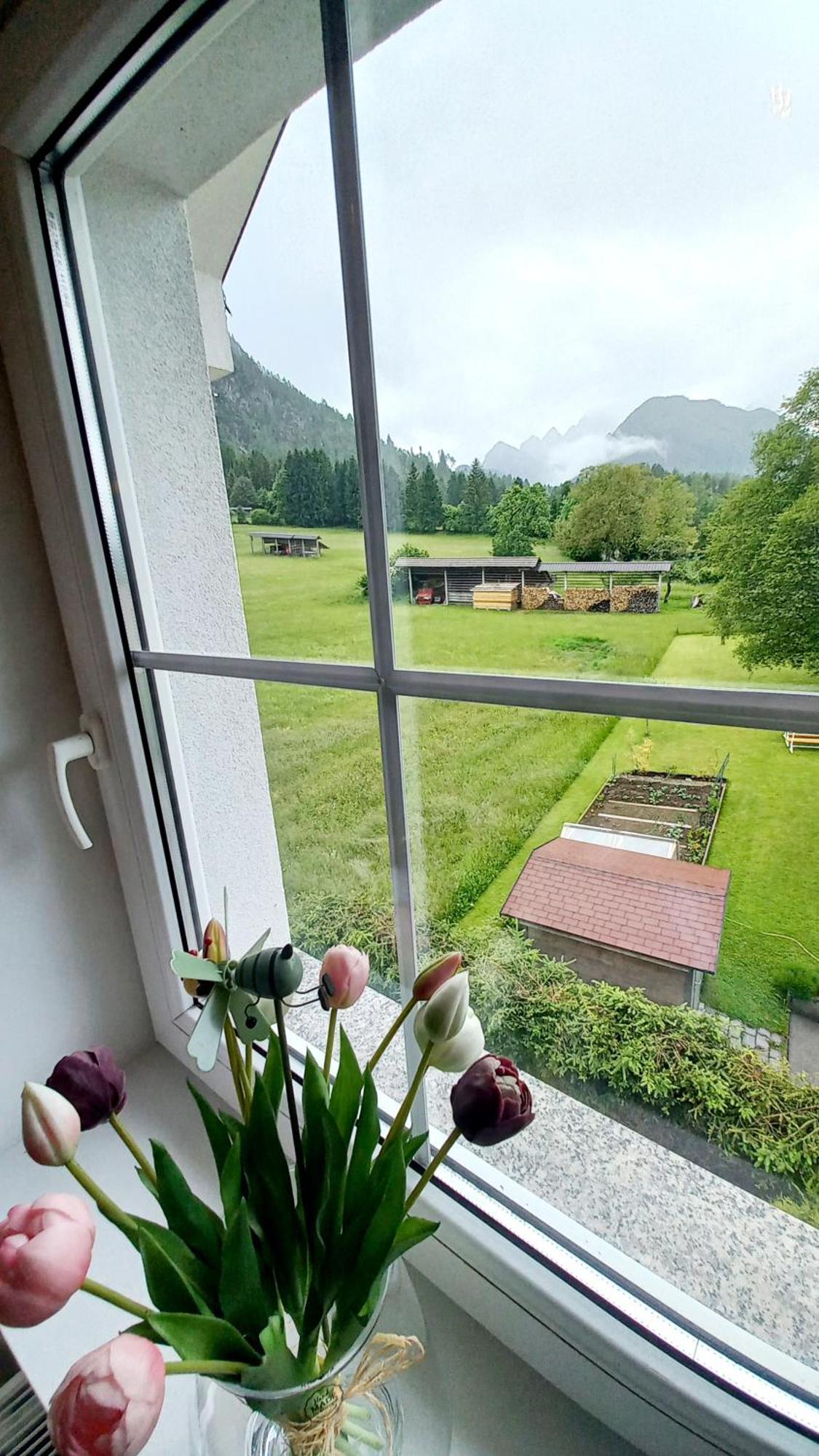 Apartma Rozle Mojstrana Buitenkant foto
